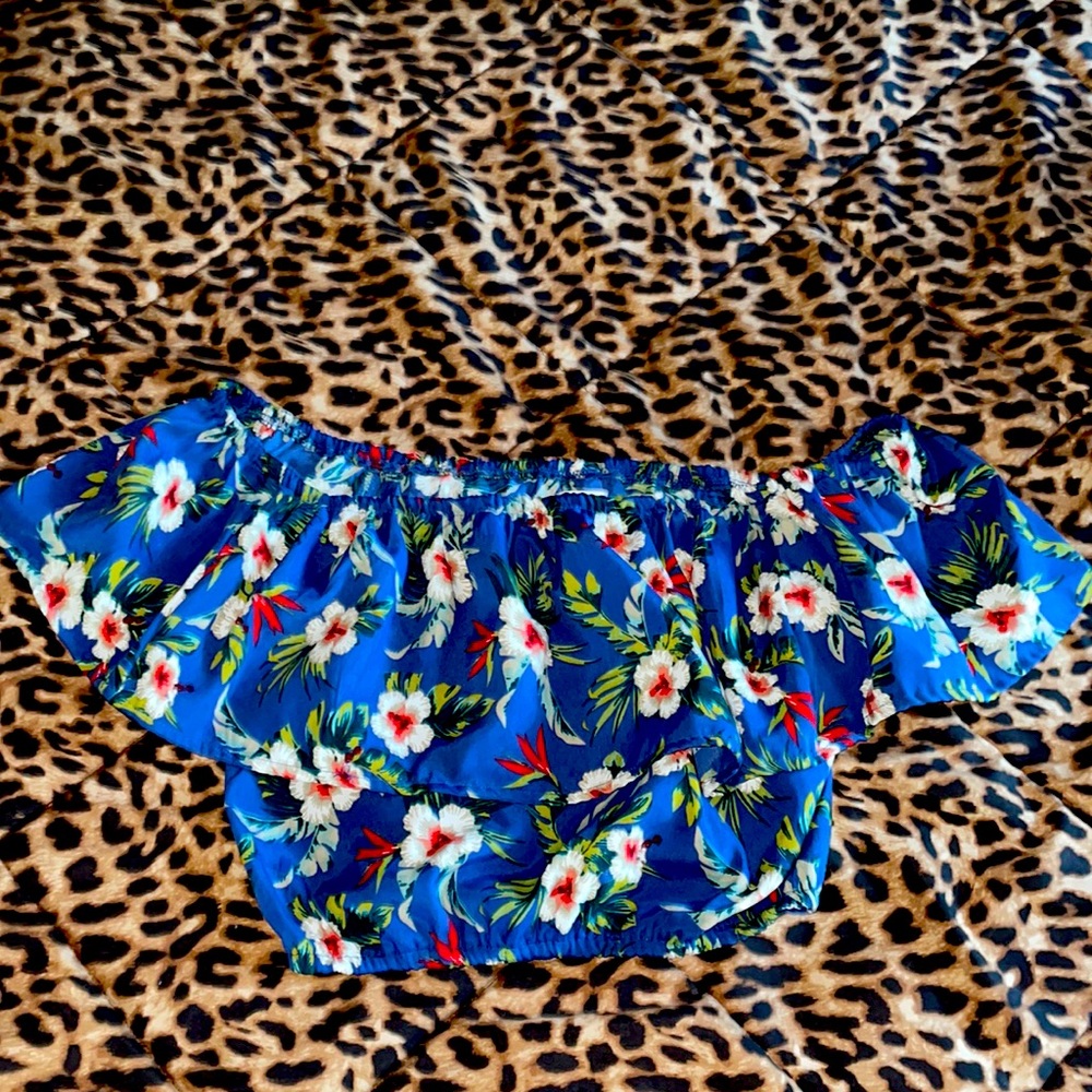 Blue floral Hollister crop top